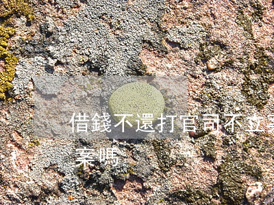 借錢不還打官司不立案(借錢不還打官司不立案嗎)