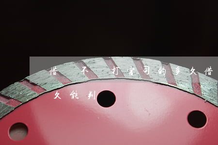 借錢不還打官司的多久(借錢不還打官司的多久能判決)
