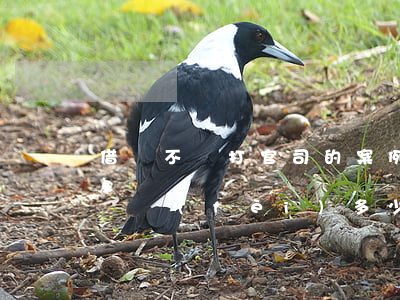 借錢不還打官司的案例(打借錢不還的官司訴訟費(fèi)多少)