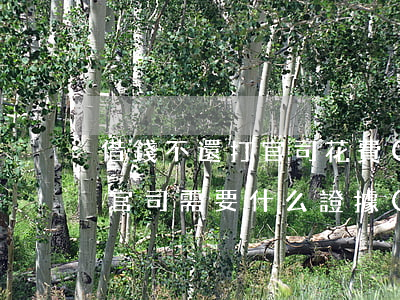 借錢不還打官司花費(fèi)(借錢不還打官司需要什么證據(jù))