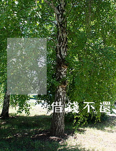 借錢不還會被拘留嗎