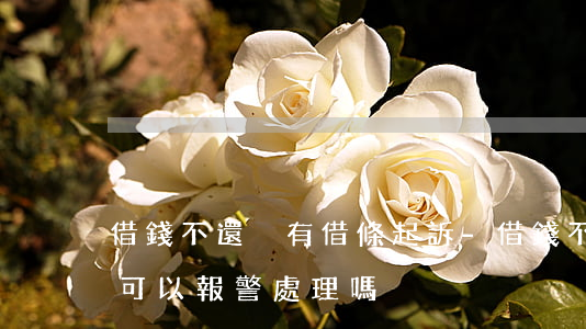 借錢不還沒有借條起訴-借錢不還沒有借條可以報警處理嗎