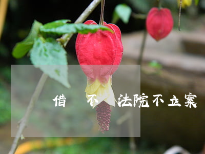 借錢不還法院不立案
