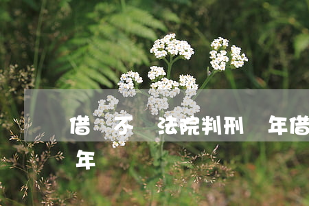 借錢不還法院判刑幾年(借錢不還法院判刑幾年)