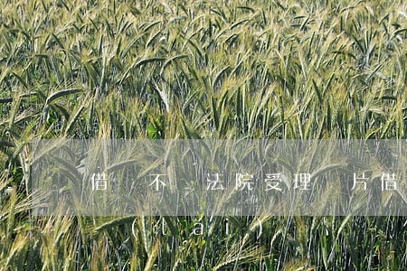 借錢不還法院受理圖片(借錢不還法院能要回來(lái)嗎)