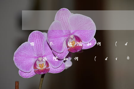 借錢不還法院如何調(diào)解(借錢不還法院如何調(diào)解呢)