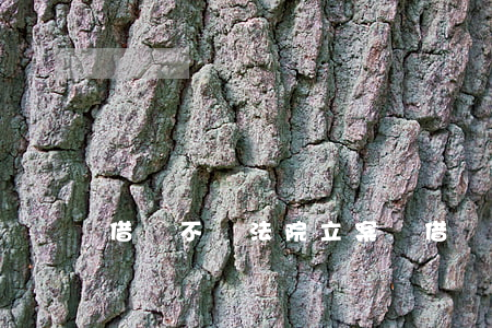 借錢不還法院立案嗎（借錢不還法院立案嗎）