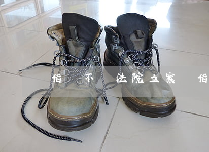 借錢不還法院立案費(借錢不還立案金額)