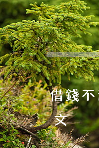 借錢不還法院起訴書范文(借錢不還訴訟書范文)