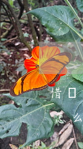 借錢不還發(fā)如何起訴(借錢不還法律怎么起訴)