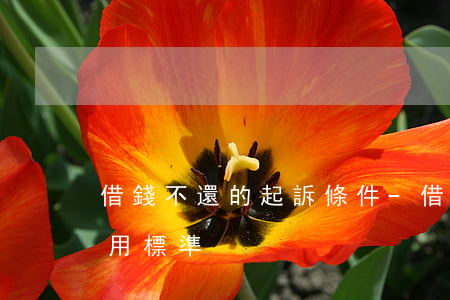 借錢不還的起訴條件-借錢不還怎么起訴費用標準