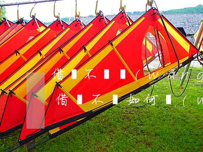 借錢不還網(wǎng)絡(luò)起訴(借錢不還如何網(wǎng)上起訴)