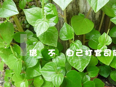 借錢不還自己打官司(借錢不還能打官司嗎)