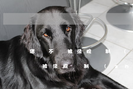 借錢不還被法院強制執(zhí)行(借錢不還被法院強制執(zhí)行怎么辦)