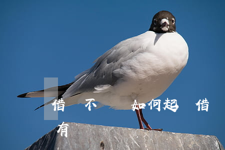 借錢不還該如何起訴 借錢不還如何起訴也沒有錢還