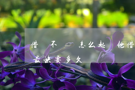 借錢不還該怎么起訴他(借錢不還怎么起訴他最快要多久)