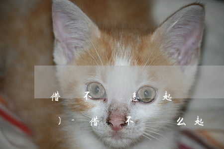 借錢不還該怎樣起訴視頻法律教學(xué)-借錢不還這么起訴