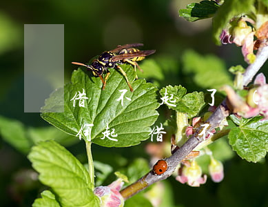 借錢不還起訴了沒(méi)錢還怎么辦(如何起訴借錢不還)