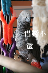 借錢不還起訴了沒錢還(借錢不還起訴了沒錢還)