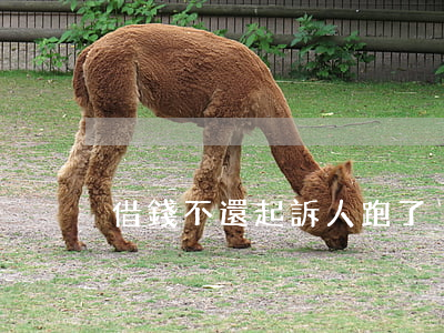 借錢不還起訴人跑了