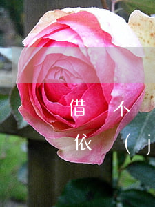 借錢不還起訴什么法院 借錢不還起訴的法律依據(jù)