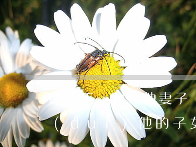 借錢不還起訴他妻子嗎-借錢不還起訴他對(duì)他的子女