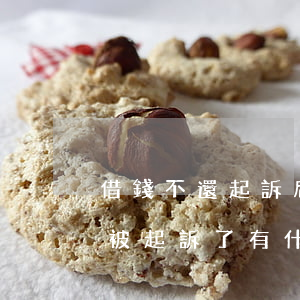 借錢不還起訴后借款人有什么后果(借錢不還被起訴了有什么后果)