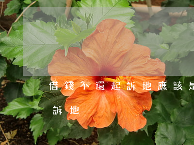 借錢不還起訴地應該是哪里（借錢不還可以起訴地）
