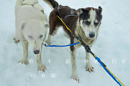 借錢不還起訴外地戶口(借錢不還起訴外地戶口有影響嗎)