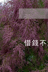 借錢不還起訴多久會還
