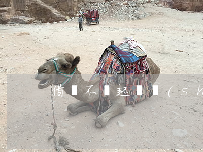 借錢不還起訴時(shí)效幾年