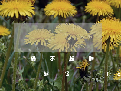 借錢不還起訴期買財產(chǎn)(借錢不還,起訴了,沒資產(chǎn))