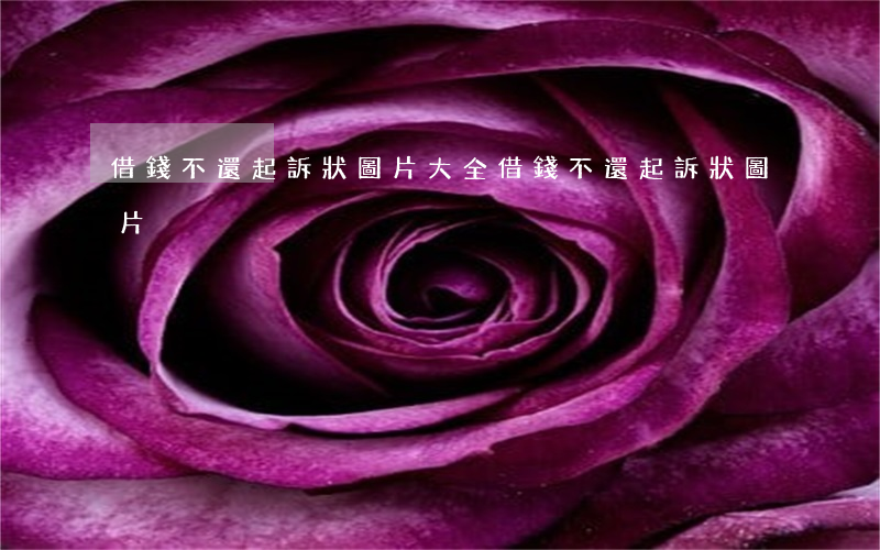 借錢不還起訴狀圖片大全（借錢不還起訴狀圖片）