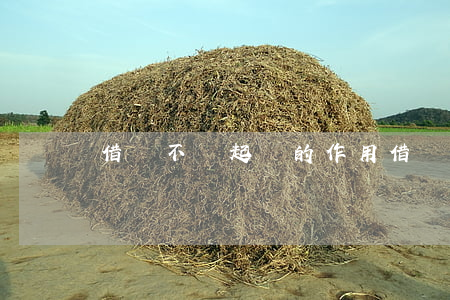 借錢不還起訴的作用 借錢不還起訴的作用