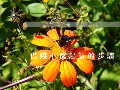借錢不還起訴的步驟-借錢不還 起訴流程