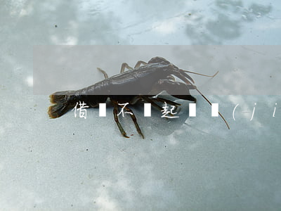 借錢不還起訴結(jié)果會如何