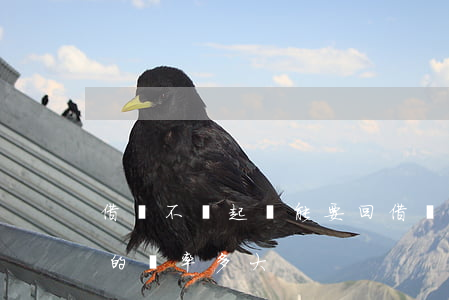 借錢不還起訴能要回(借錢不還起訴能要回來的幾率多大)