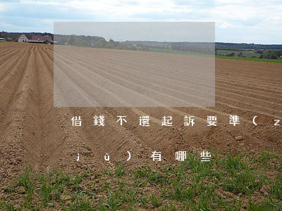 借錢不還起訴,要準(zhǔn)備的證據(jù)有哪些