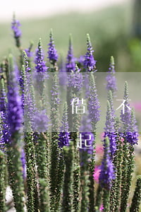 借錢不還起訴費(fèi)500(借錢不還起訴費(fèi)怎么收)