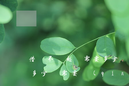 借錢不還起訴需要多少錢(借錢不還起訴需要多少錢需要請(qǐng)律師嗎)