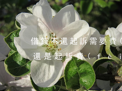 借錢不還起訴需要費(fèi)用嗎（借錢不還是起訴費(fèi)用）