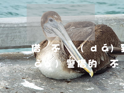 借錢不還達(dá)到多少金額可以報(bào)警(借的錢不還能不能報(bào)警)