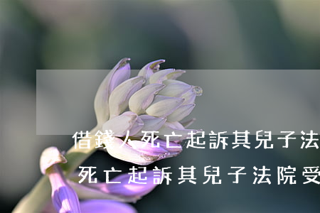 借錢人死亡起訴其兒子法院受理嗎-借錢人死亡起訴其兒子法院受理嗎要多久