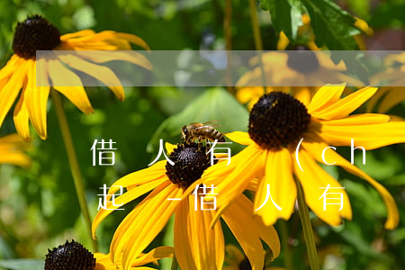 借錢人沒有財產(chǎn)沒有收入怎么起訴-借錢人沒有財產(chǎn)沒有收入怎么起訴對方