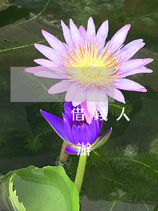 借錢人沒有錢怎么起訴(借錢人沒有錢還怎么辦)