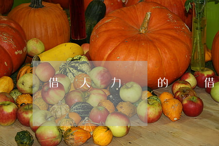 借錢人無力償還的視頻(借錢無力償還怎么辦)