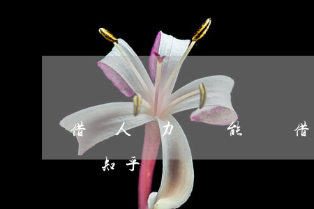 借錢人無力償還能還嗎 借錢人無力償還能還嗎知乎