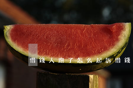 借錢人跑了怎么起訴(借錢人跑了起訴有用嗎)
