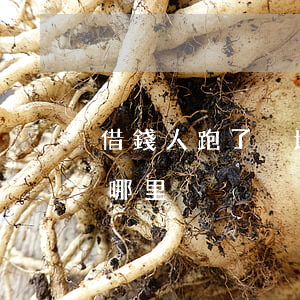 借錢人跑了異地起訴 借錢的人在外地,起訴在哪里