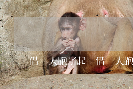 借錢人跑了起訴(借錢人跑了起訴錢能要回嗎)